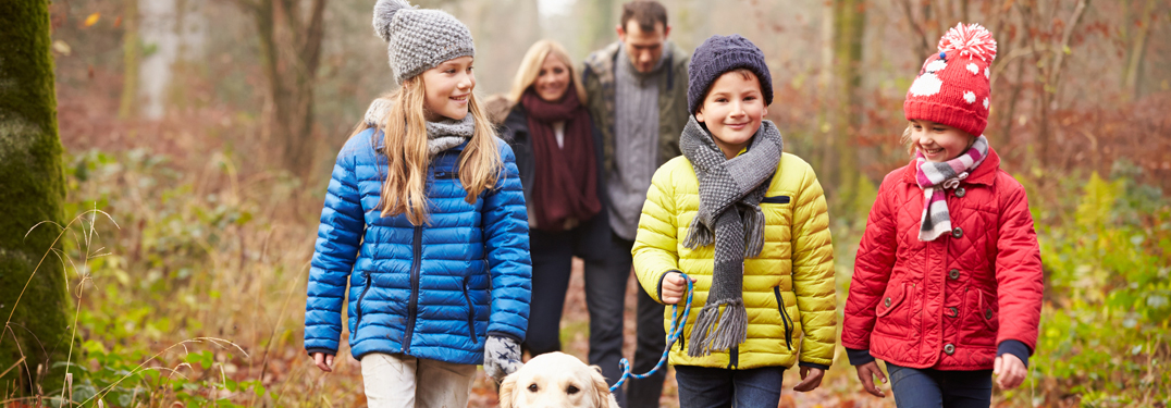 Familie spaziert durch den Wald